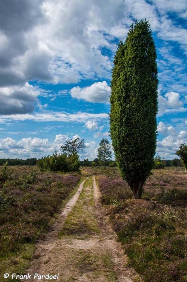 Aa Casia Vakantiehuis Zeegse Luaran gambar